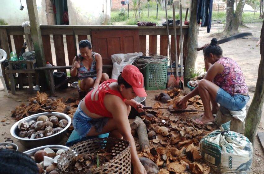  Bionegócio na Amazônia Legal gera emprego e renda para mulheres em vulnerabilidade social