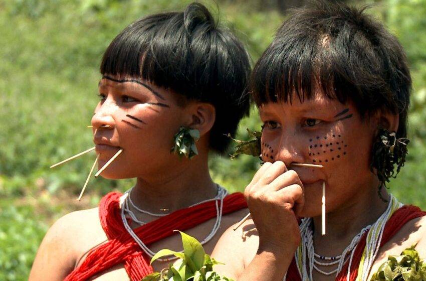  Censo 2022: População indígena no Brasil aumenta em quase 90%