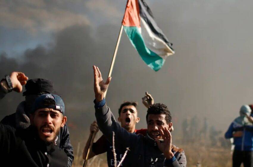  Israel anuncia cessar-fogo de quatro dias contra palestinos