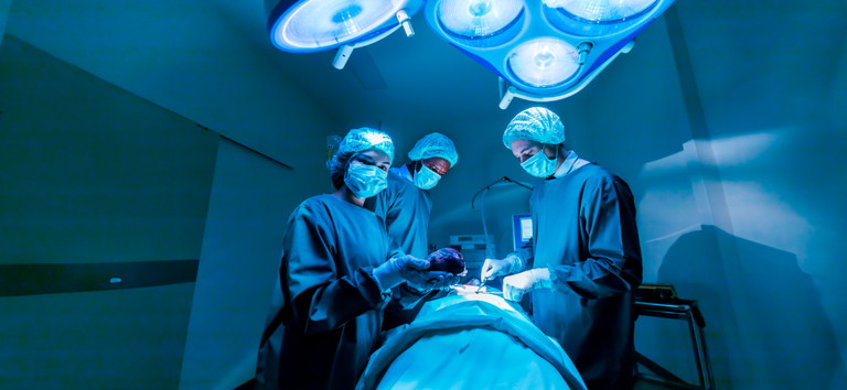  Brasil registra aumento nos transplantes de órgãos em 2023