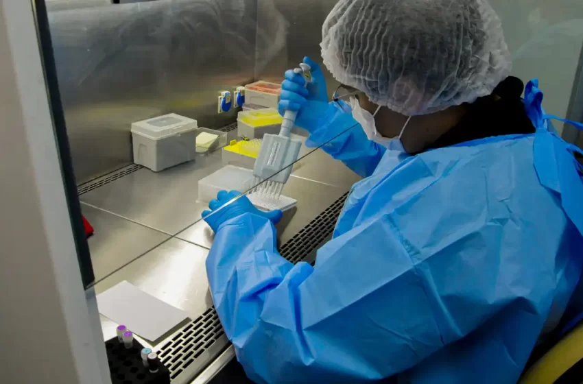  Câncer de colo de útero: Governo oferece teste molecular de HPV pelo SUS