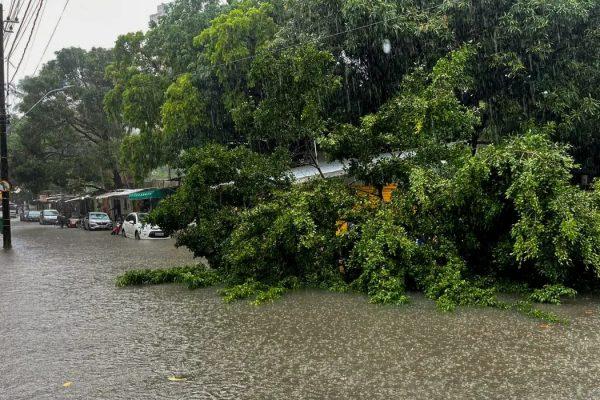 Produtores periféricos do NE têm 3 dias para proteger lavouras de tempestade