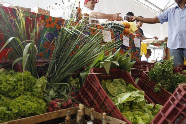 Autônomos e produtores rurais têm mais 6 meses para se adaptar à reforma tributária